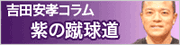 �g�c���F�R����